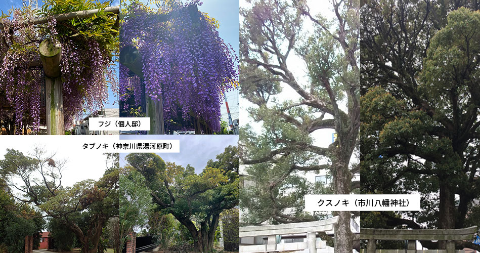 施工実績