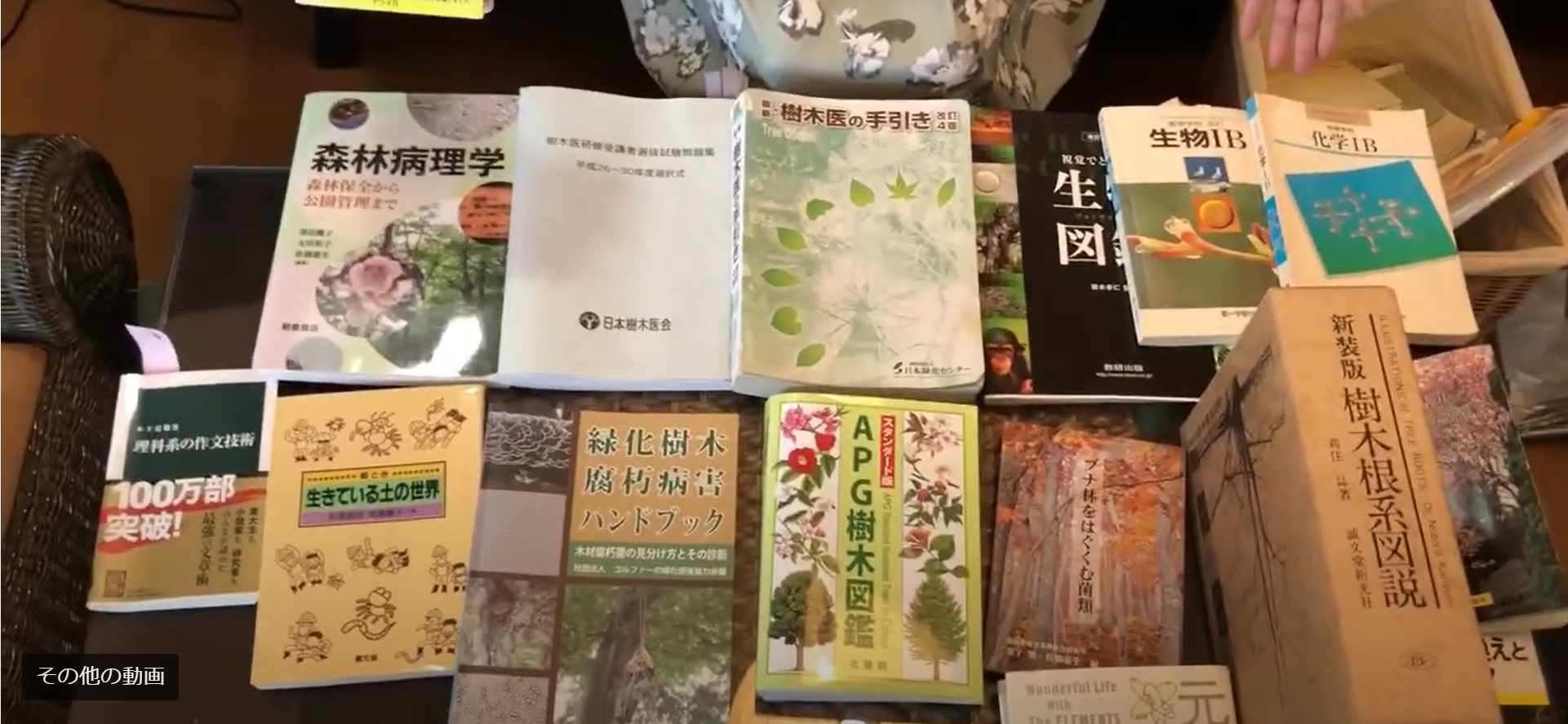 樹木医受験応援講座 株式会社木風